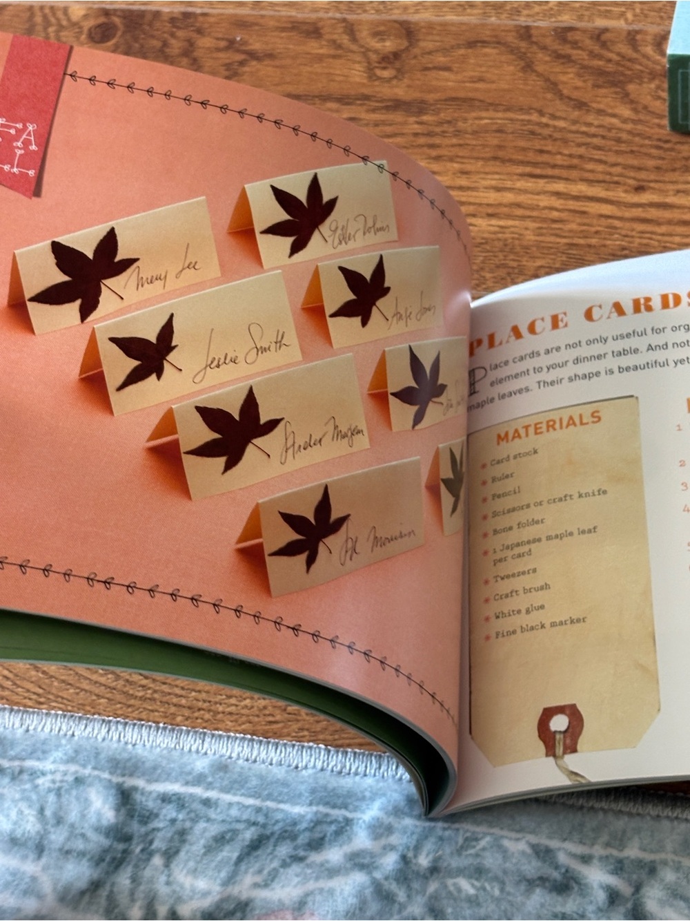 Flower and Leaf Press kit with book - Picture 8 of 12